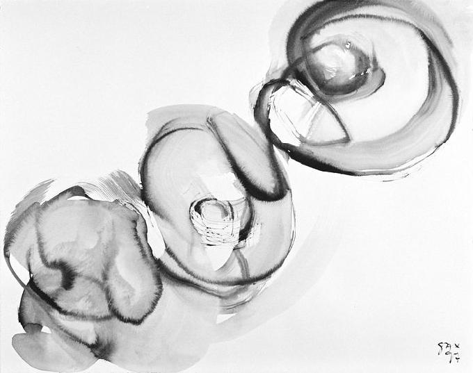 6-1997 sviluppo 45x56 chf 1500.jpg